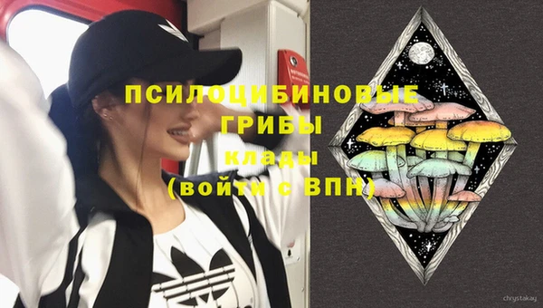 прущие грибы Волоколамск