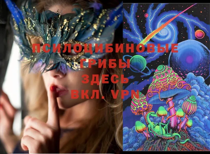 Псилоцибиновые грибы Psilocybe  где купить   Елец 